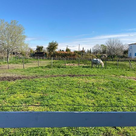 Les Maisons Du Paty Αρλ Εξωτερικό φωτογραφία
