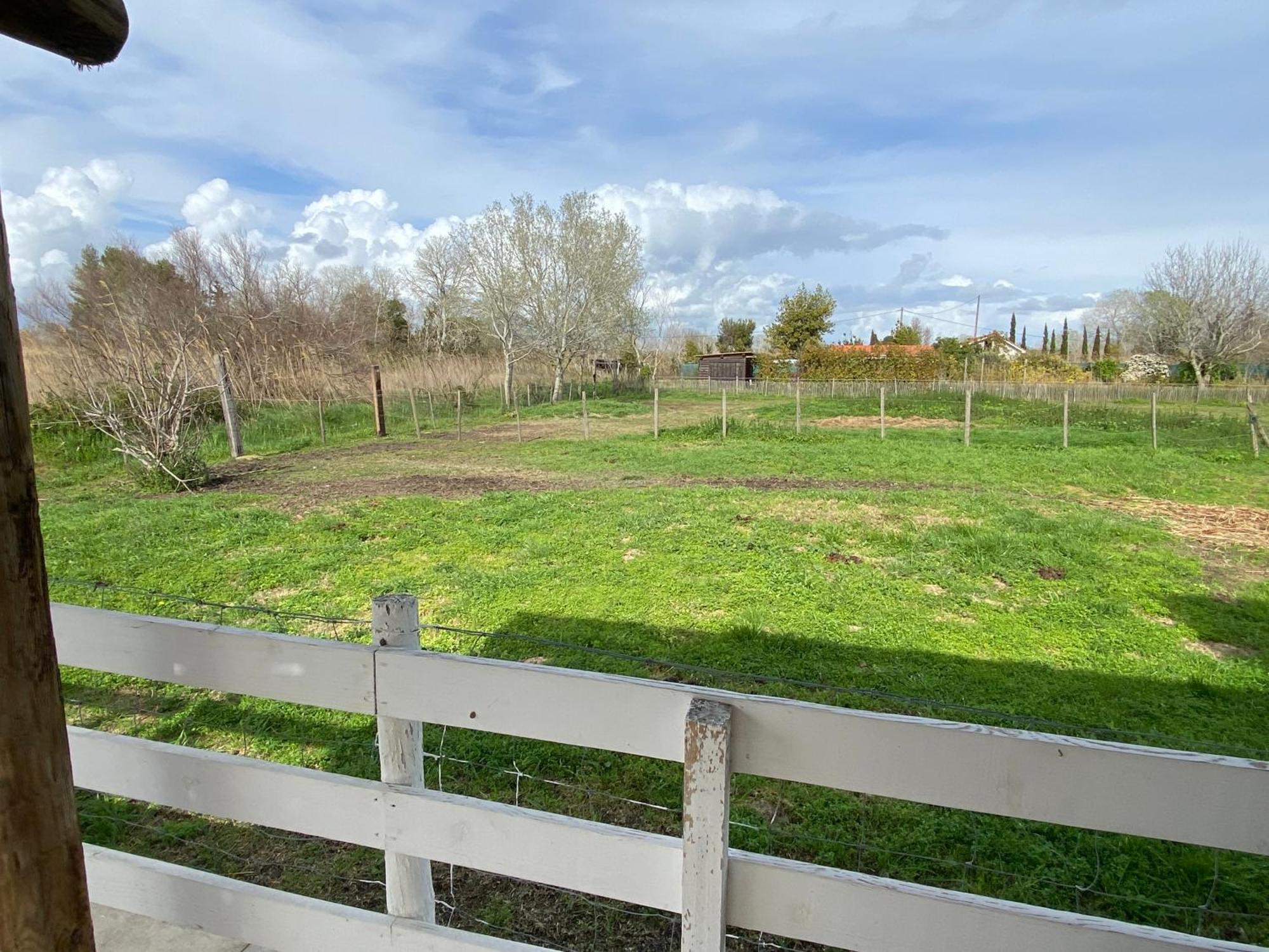 Les Maisons Du Paty Αρλ Εξωτερικό φωτογραφία